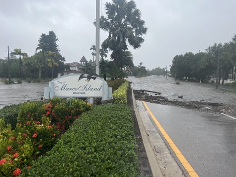 Hurricane Ian damage