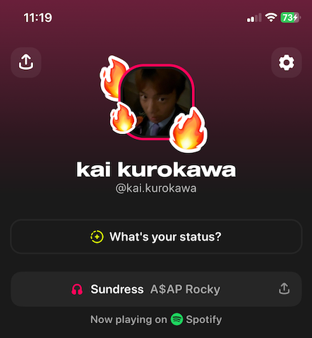 This is my profile on Airbuds. People you add as friends are able to see what songs you are currently listening to, past songs you listened to and react with emojis if they like a certain song.
