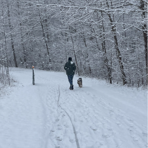 A snowy scene at the CVNP where a person walks their dog. This is just one example of how beautiful the park can be in the winter.