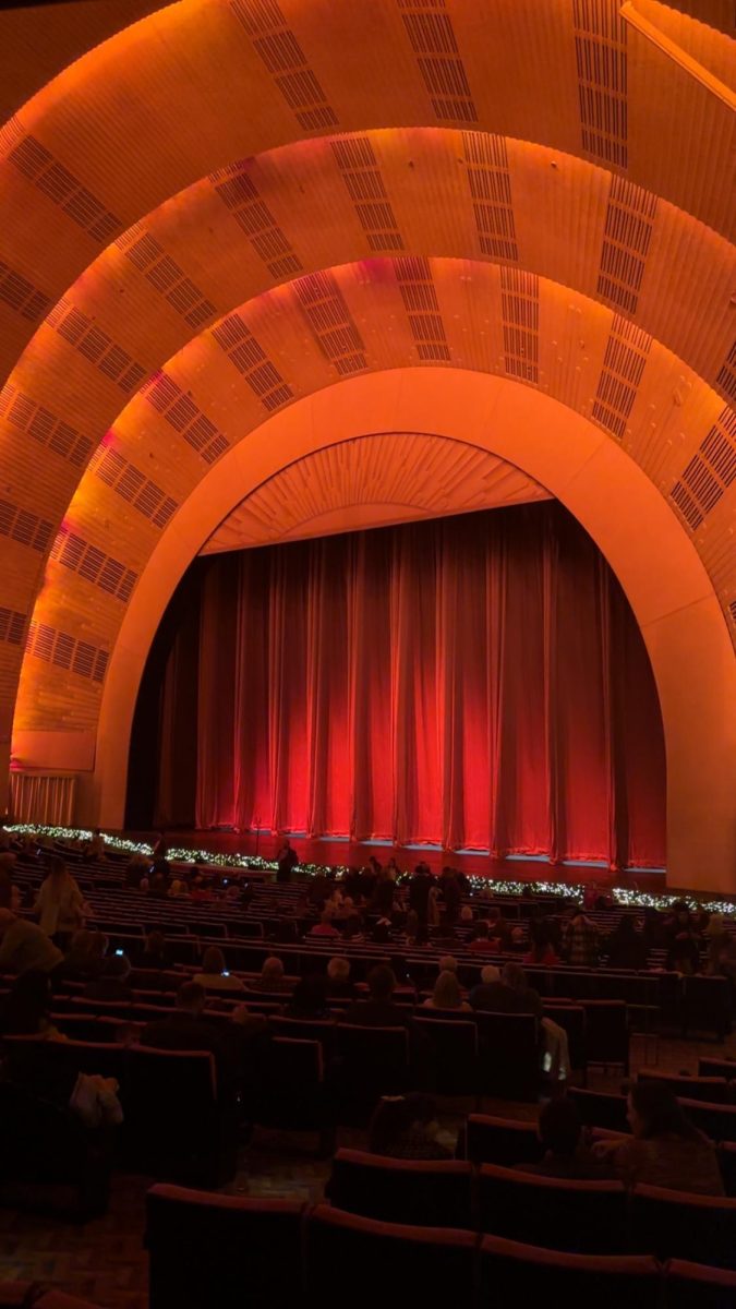 Colorful illustrations flutter across the ceiling in the Radio City Music Hall. The show is truly enchanting as the hall is combined with modern technology and the most important part, the Rockettes. When going to New York City, visiting the Radio City Music Hall is a must.